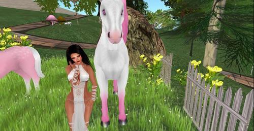 Web 5f5258cf289dd2155233d1c9