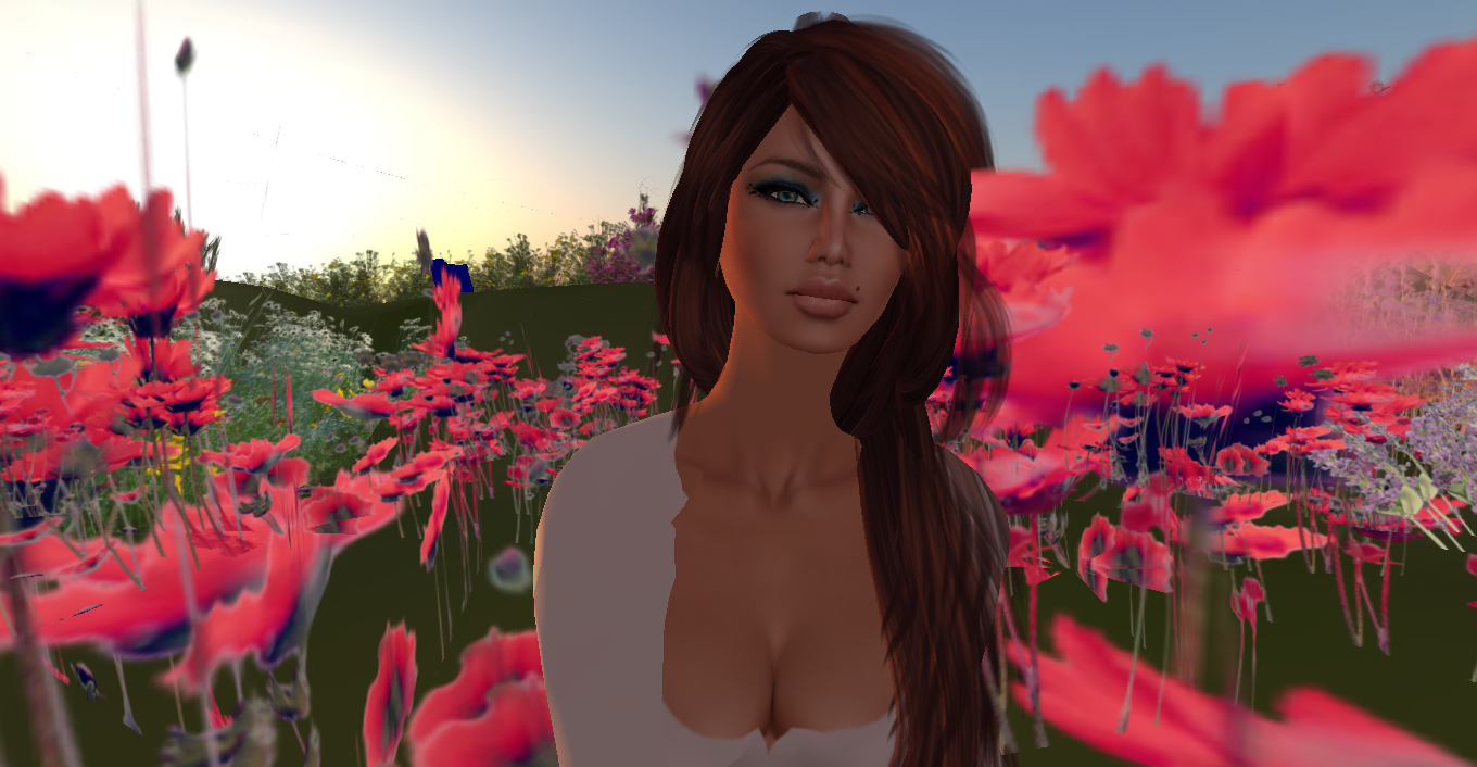 Original 514cb8c9ae44511b12000001