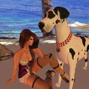 Thumb 5140d2167a1dd140a2000001