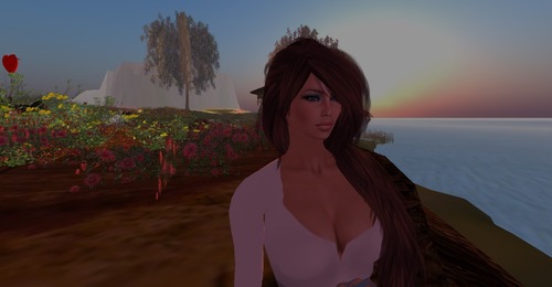 Web 514cb35f3e060d051b000001