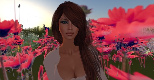 Web 514cb88a12609d08ea000001