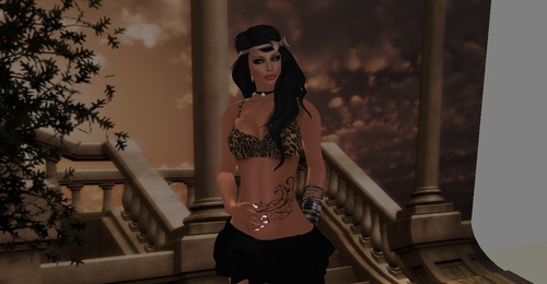 Web 5212cde70979e22411000001