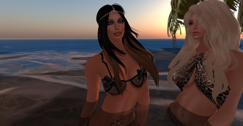 Web 5241dfe557090a1633000001