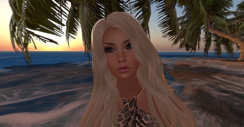 Web 5241e031735b041a3a000001