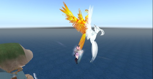 Web 503f541bbf0bce71fc000001