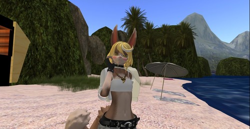 Web 538c00adf8a1ec232f000001