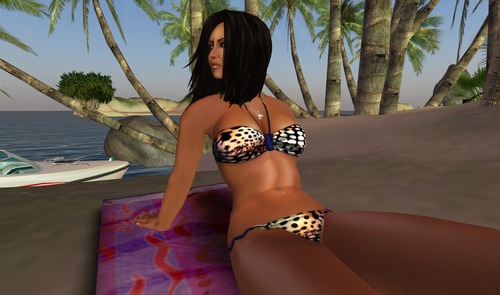 Web 511310a0d1d28972e0000001