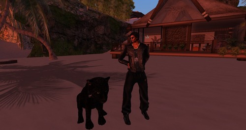 Web 5125242c8254b31d0d000001