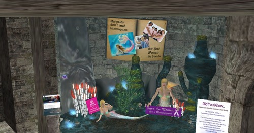 Web 578c290db01540563e000001