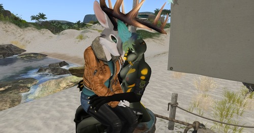 Web 56da03ff9934e00bf0000001