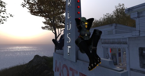 Web 56dbf35f9934e016d4000001