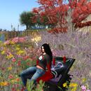 Thumb 5958a404d774f86f67000001