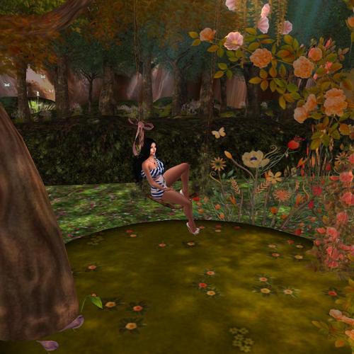 Web 5972f0cb73ed173d2c000001