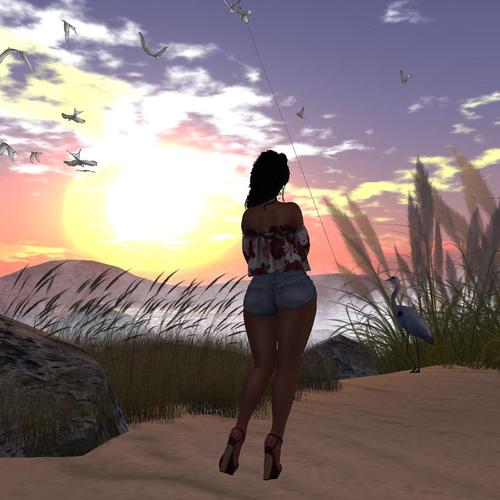 Web 5986f309d774f83e0a000001