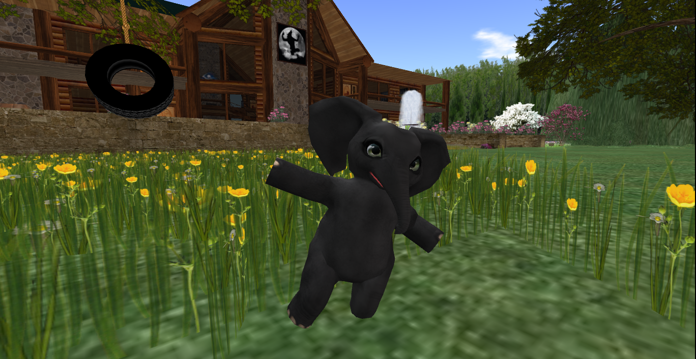 Original 5323003e128cc954b9000001