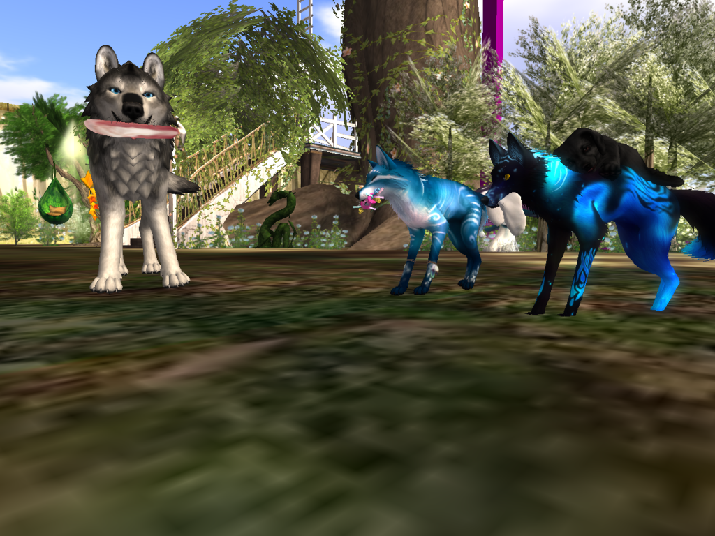 Original 5ad39288d9859c5677000001