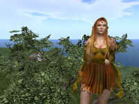 Small 643acdaf7d11db013d1cbc67