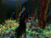 Small 64581a933d8d3c720edca015