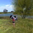 Thumb 59d11680d774f86671000001