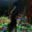 Thumb 64581a933d8d3c720edca015