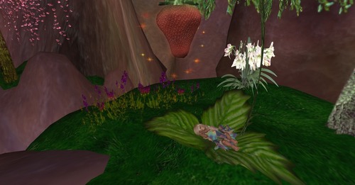 Web 530a7d308da572562e000001