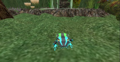 Web 532300468da57273ff000001