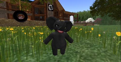 Web 532301118da572754c000001