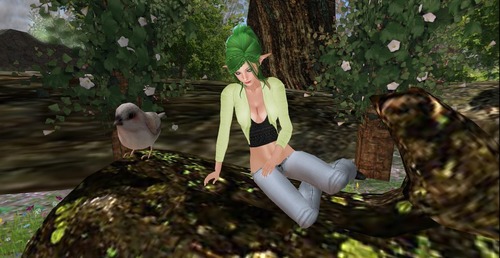 Web 532ce780a73e217d88000001