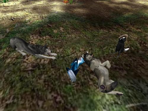 Web 5ad369a7d9859c5b8c000001