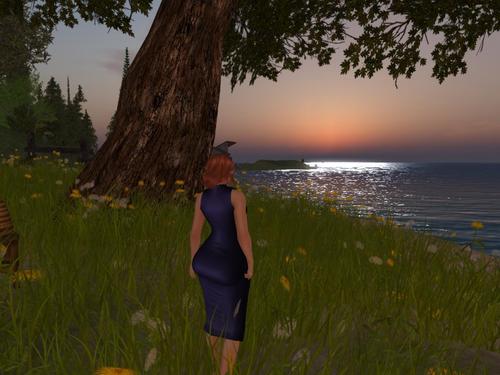 Web 5b21d3dc289dd23340000001