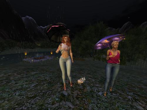 Web 5e80013473ed173dcc23be40