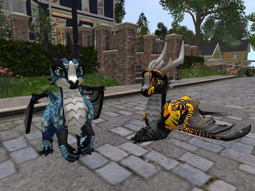 Web 6029d93a16b5b1314df6505c