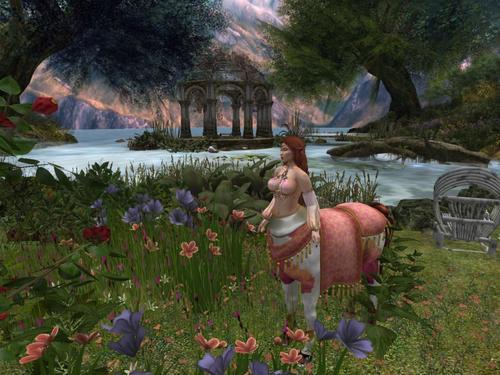 Web 603591daed47a111c2e104e4