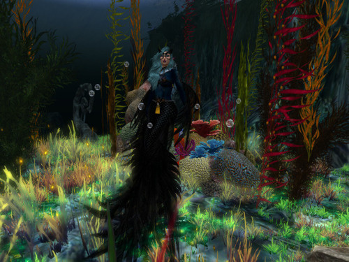 Web 64581a933d8d3c720edca015