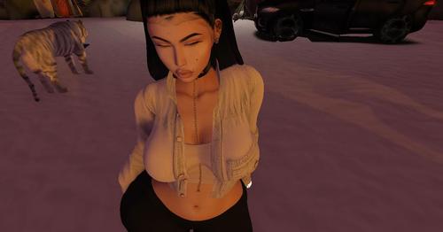 Web 5a77b12973ed1774b1000001