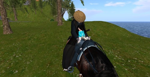 Web 533b87608da572182d000001