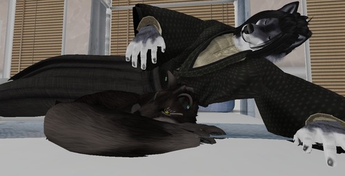 Web 544b45168da5723c4f000001