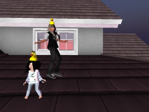 Web 55b6bd35f8a1ec5e4b000001