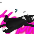 Thumb 5186dacf1d2a177863000001