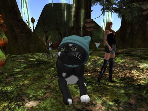 Web 518a6760aa9a1410c8000001