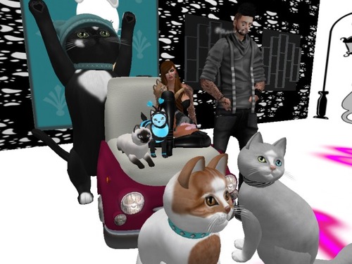 Web 518a6c5e24da18240e000001