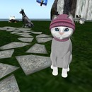 Thumb 51a0beffa5124022f0000001