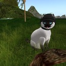 Thumb 51c9057bb254087736000001