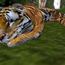 Thumb 51cc7d139a8a5559be000001