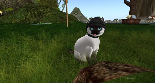 Web 51c9057bb254087736000001