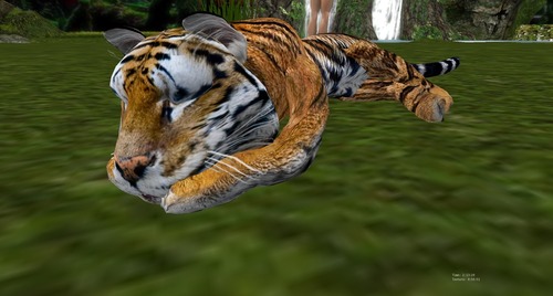 Web 51cc7d139a8a5559be000001