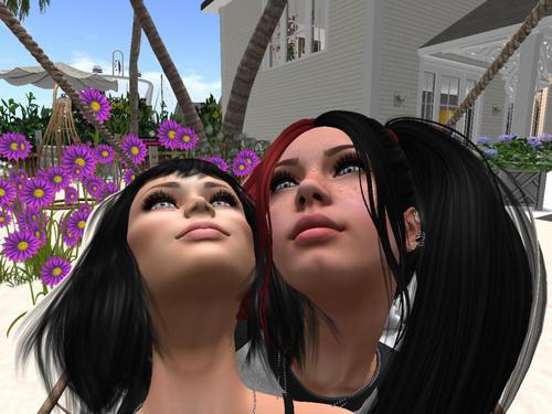 Web 5f0f259873ed1754280553ca