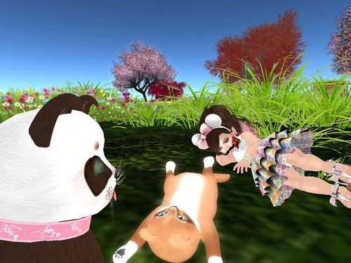 Web 532e317ba73e211a9d000001