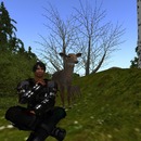 Thumb 50c22b5bb198772aa5000001