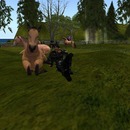 Thumb 50c22cd6c4b567679a000001